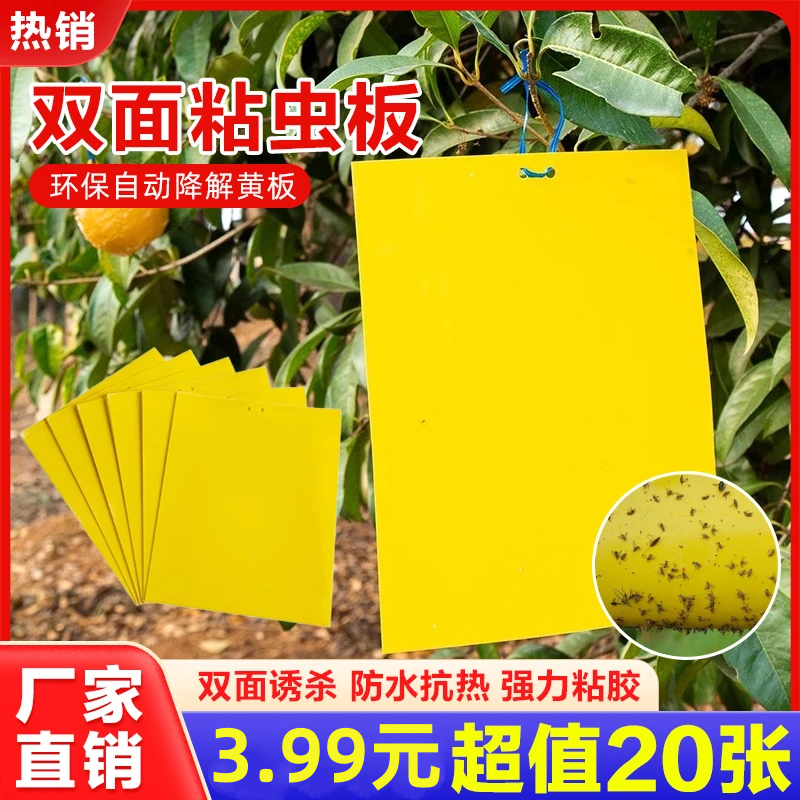 【20张！】黄色双面粘虫板贴纸强力小飞虫沾果蝇诱捕神器捉蚊子苍蝇