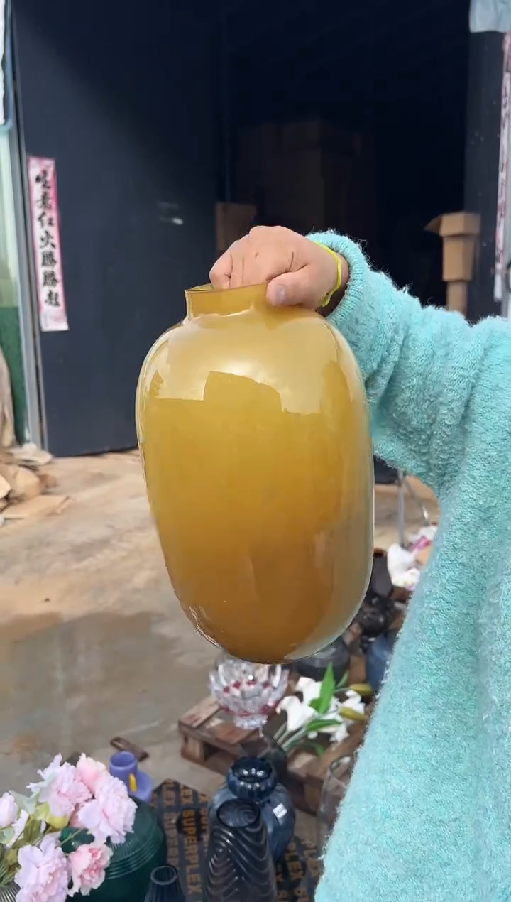 花瓶客厅餐桌插花装饰好物