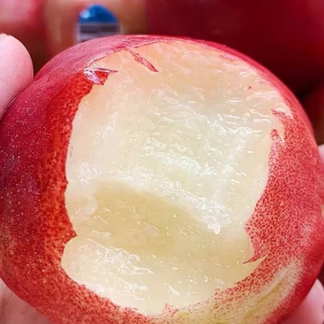 玫瑰公主桃汁多甜辽宁省