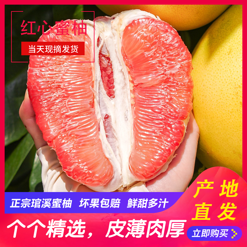 【福建·平和】红心蜜柚老树头茬鲜果皮薄鲜嫩多汁琯溪蜜柚森D