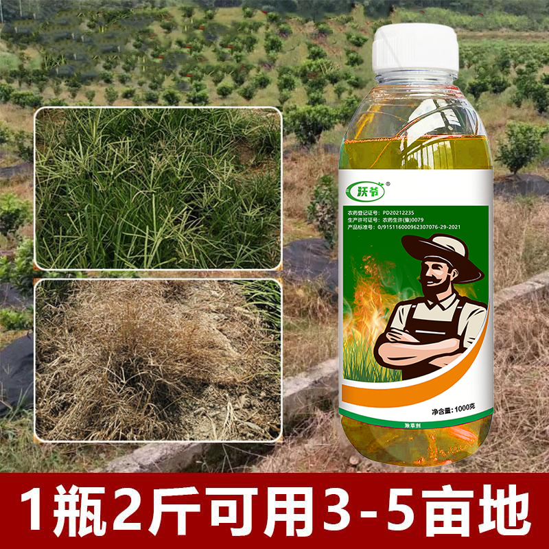 果园茶园空地专属高厂家直发正品保证卫生持久浓缩