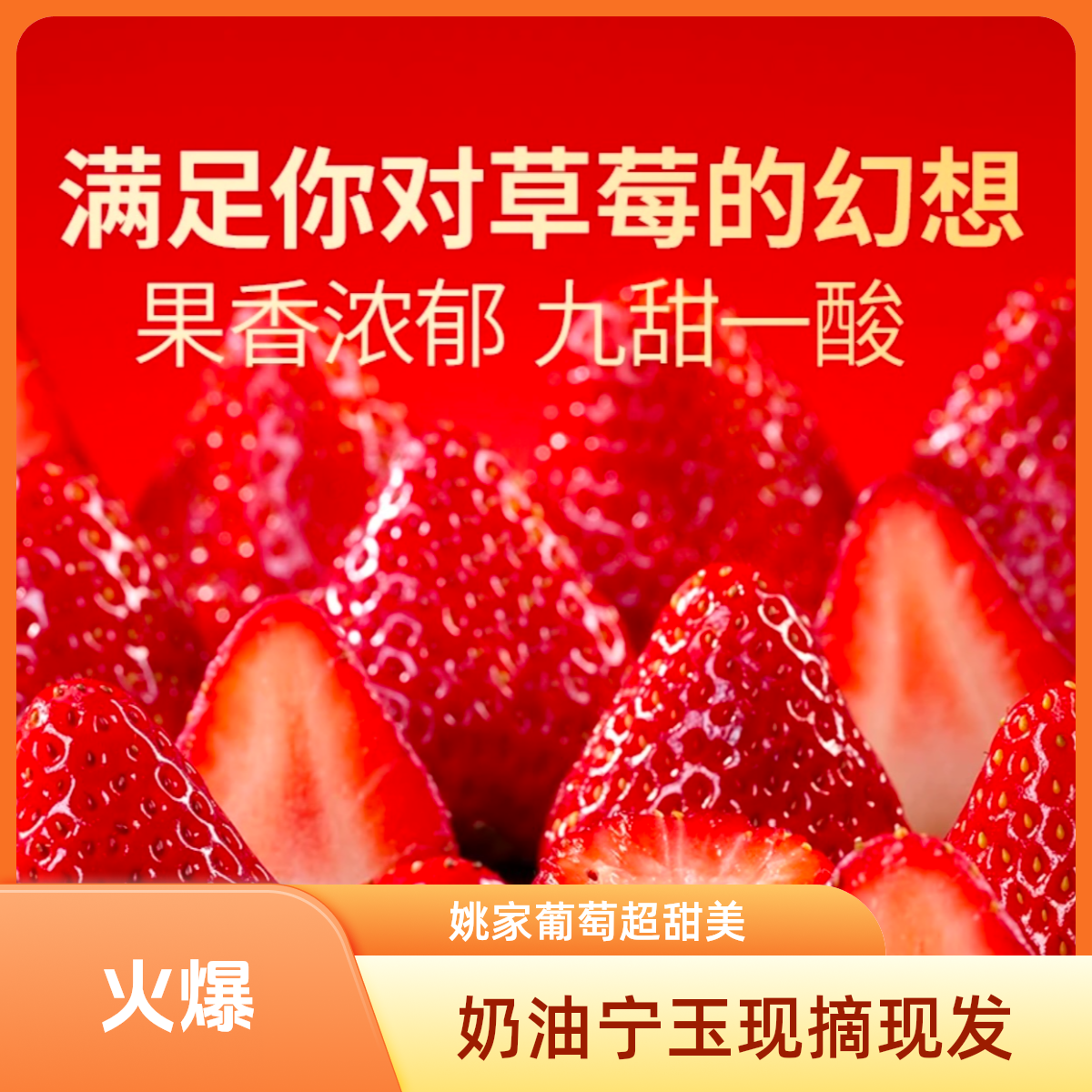 【河南中牟姚家镇草莓】 奶油宁玉 姚家现摘现发 京东包邮次日达1斤/2斤