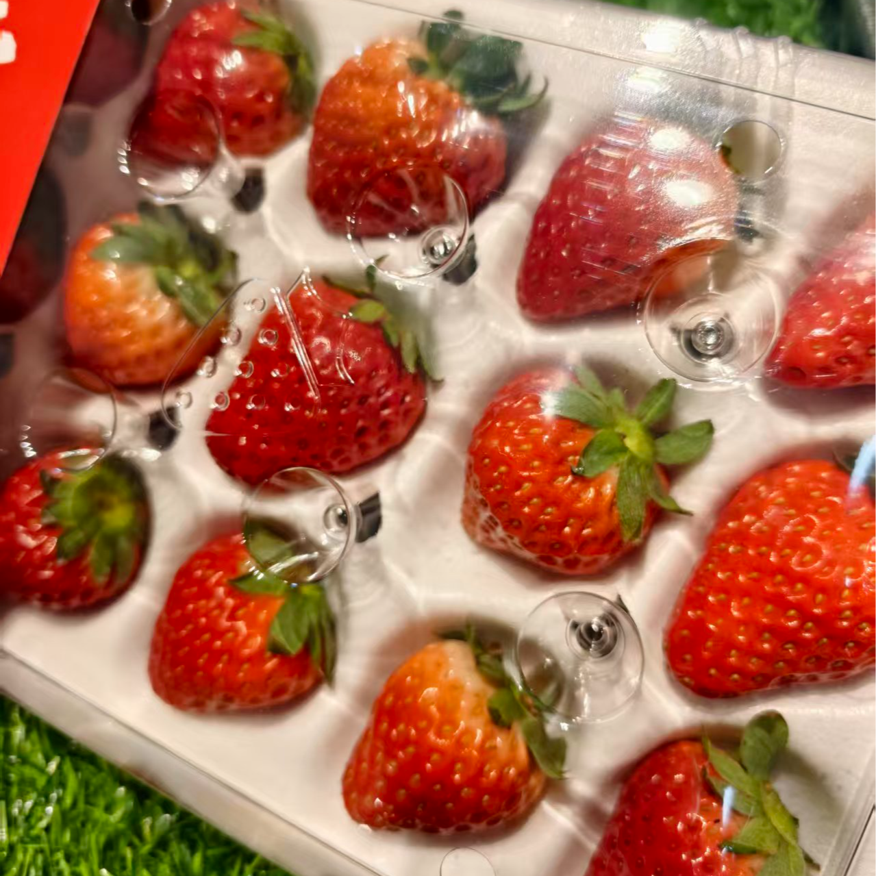 【盒装】丹东九九草莓盒装15粒300g