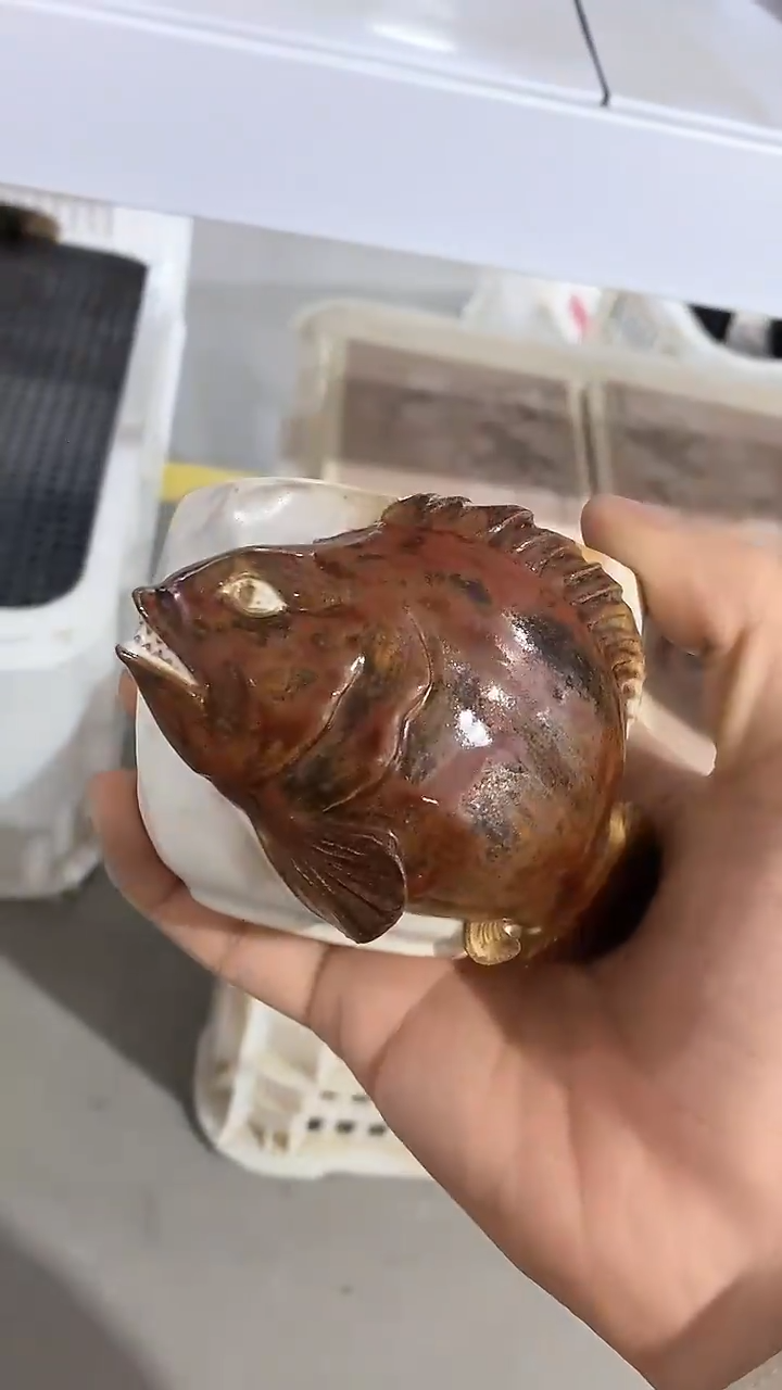 【闪购商品】瓷片陶瓷茶器孤品38
