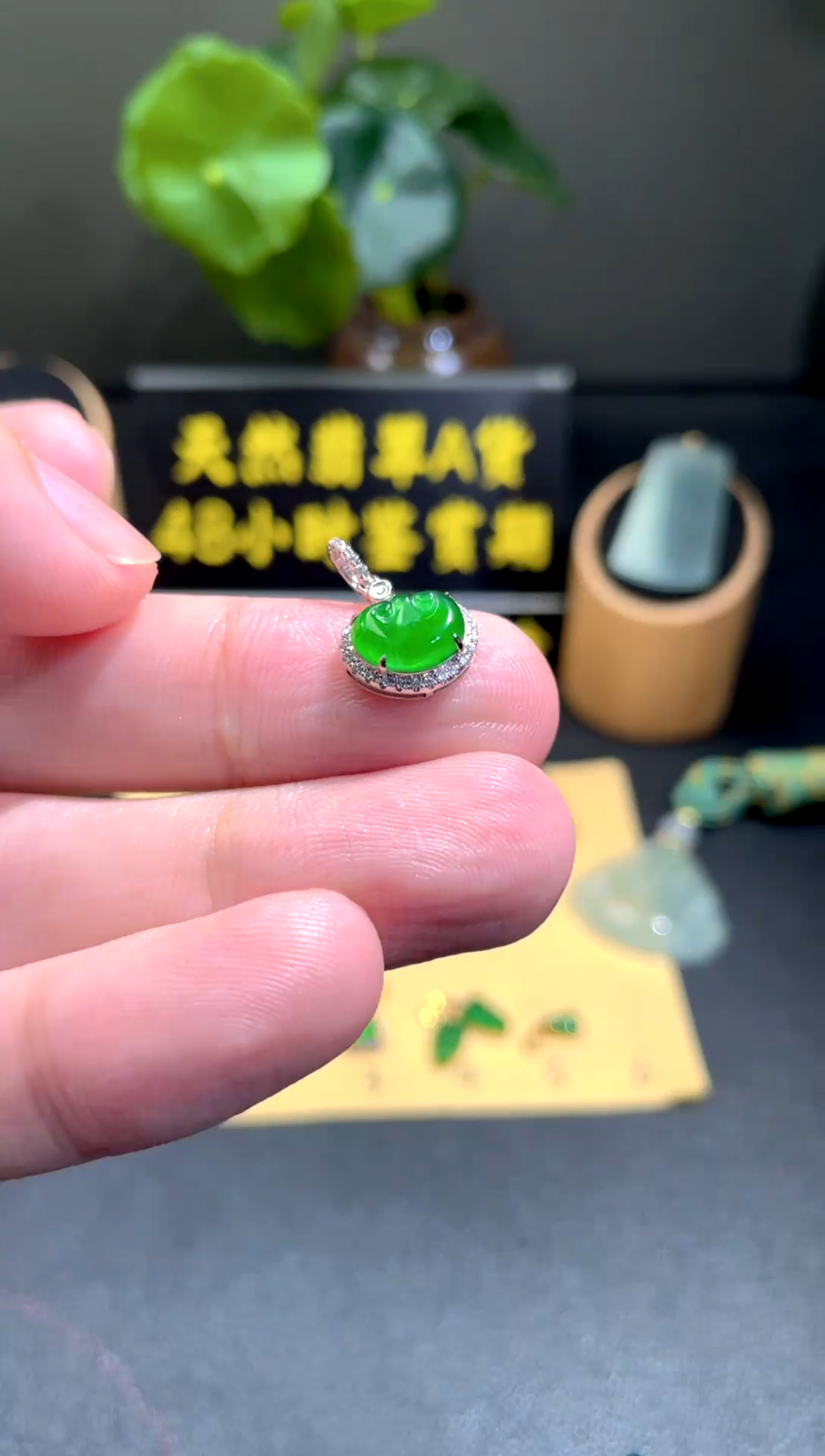 颈饰18K金镶嵌翡翠翡翠A货