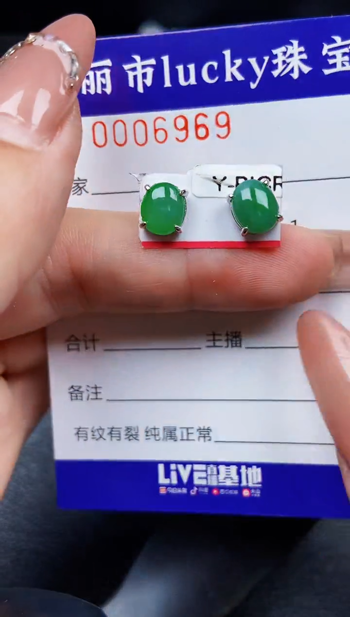 翡翠银S925镶嵌颈饰6969