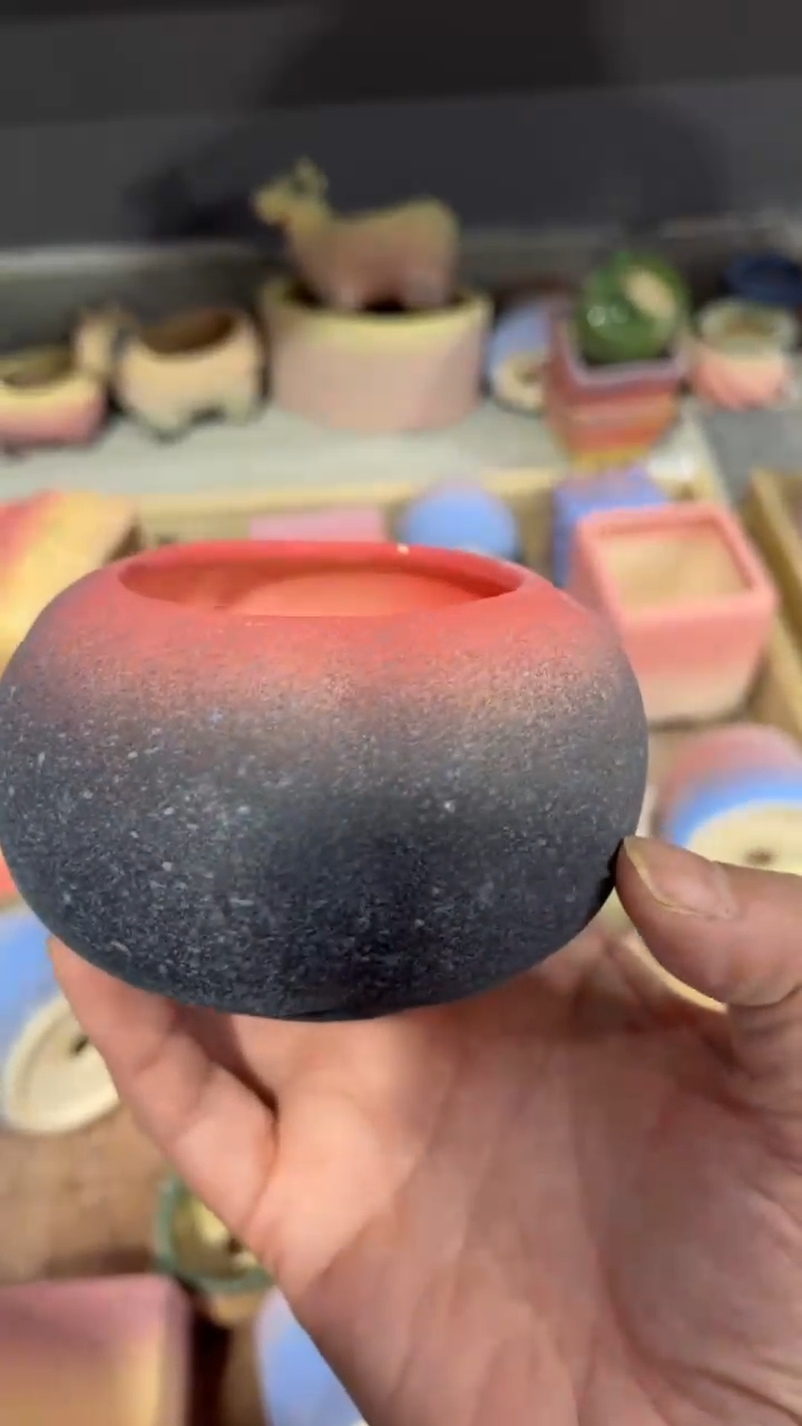 【闪购商品】陶内口 5  内高6