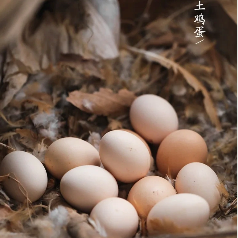 （土货）云南农村自家散养土鸡蛋 原生态鸡蛋