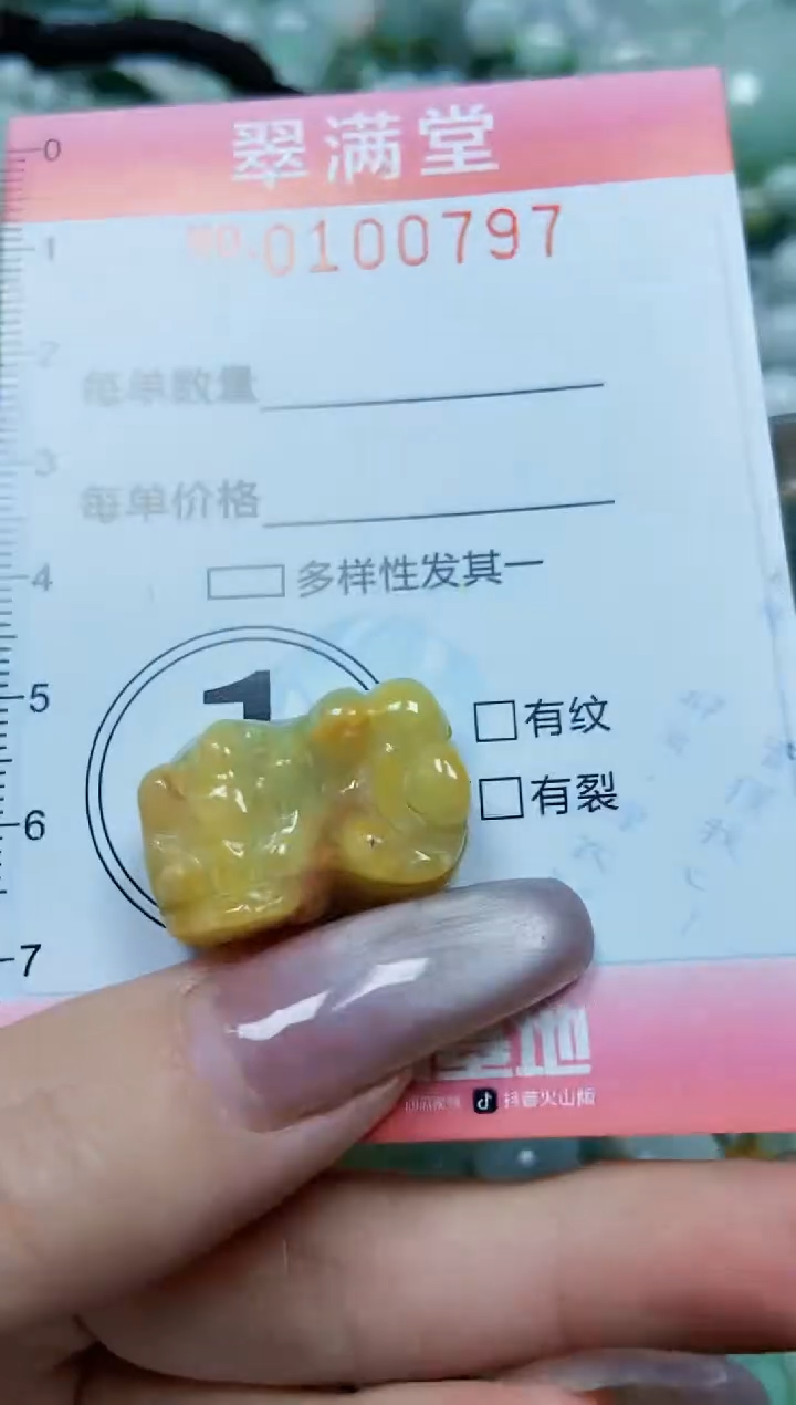 【闪购商品】翡翠颈饰未镶嵌闪购0100797