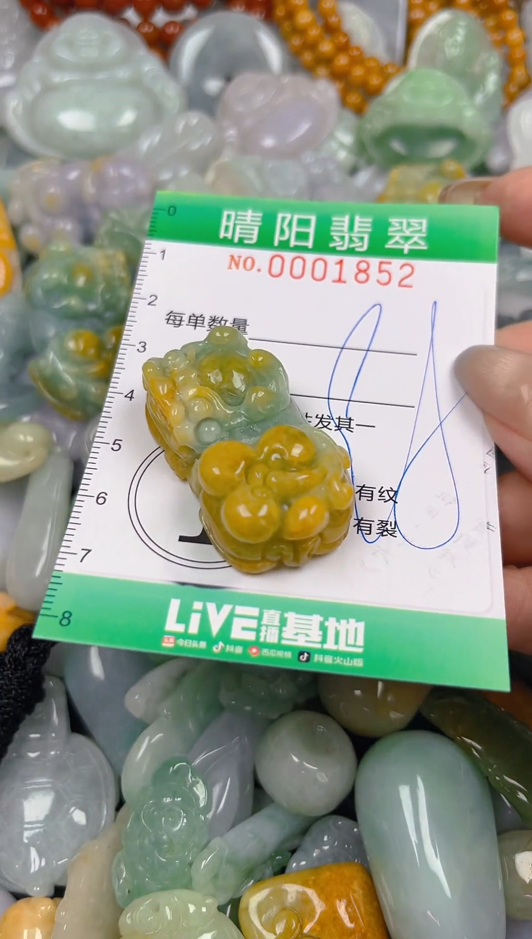 颈饰未镶嵌翡翠闪购0001852