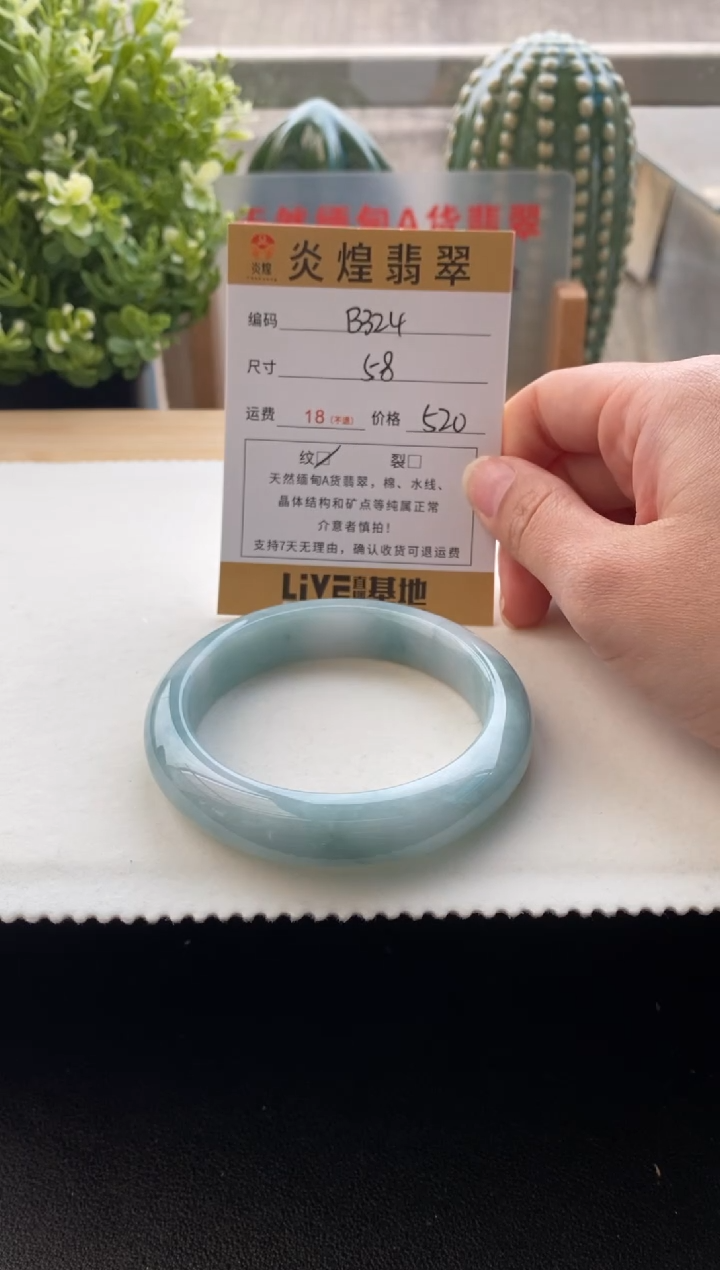 未镶嵌手镯翡翠圈口58.6编码b324