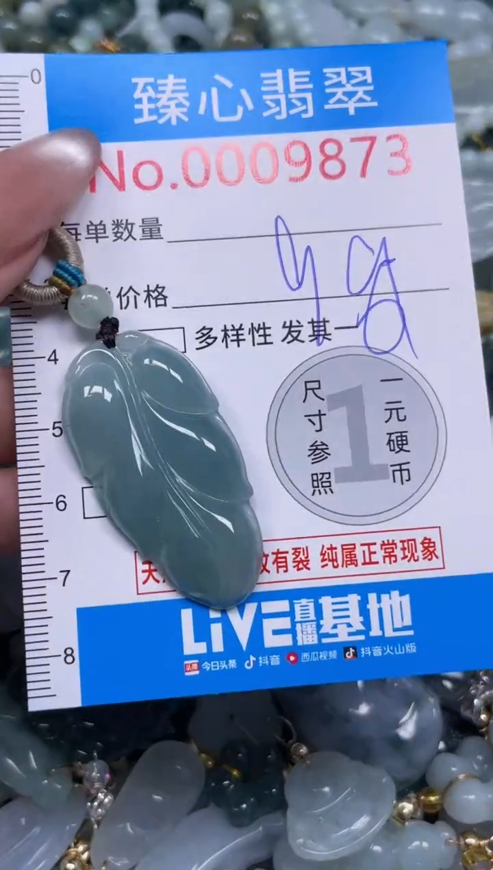 颈饰未镶嵌翡翠9873