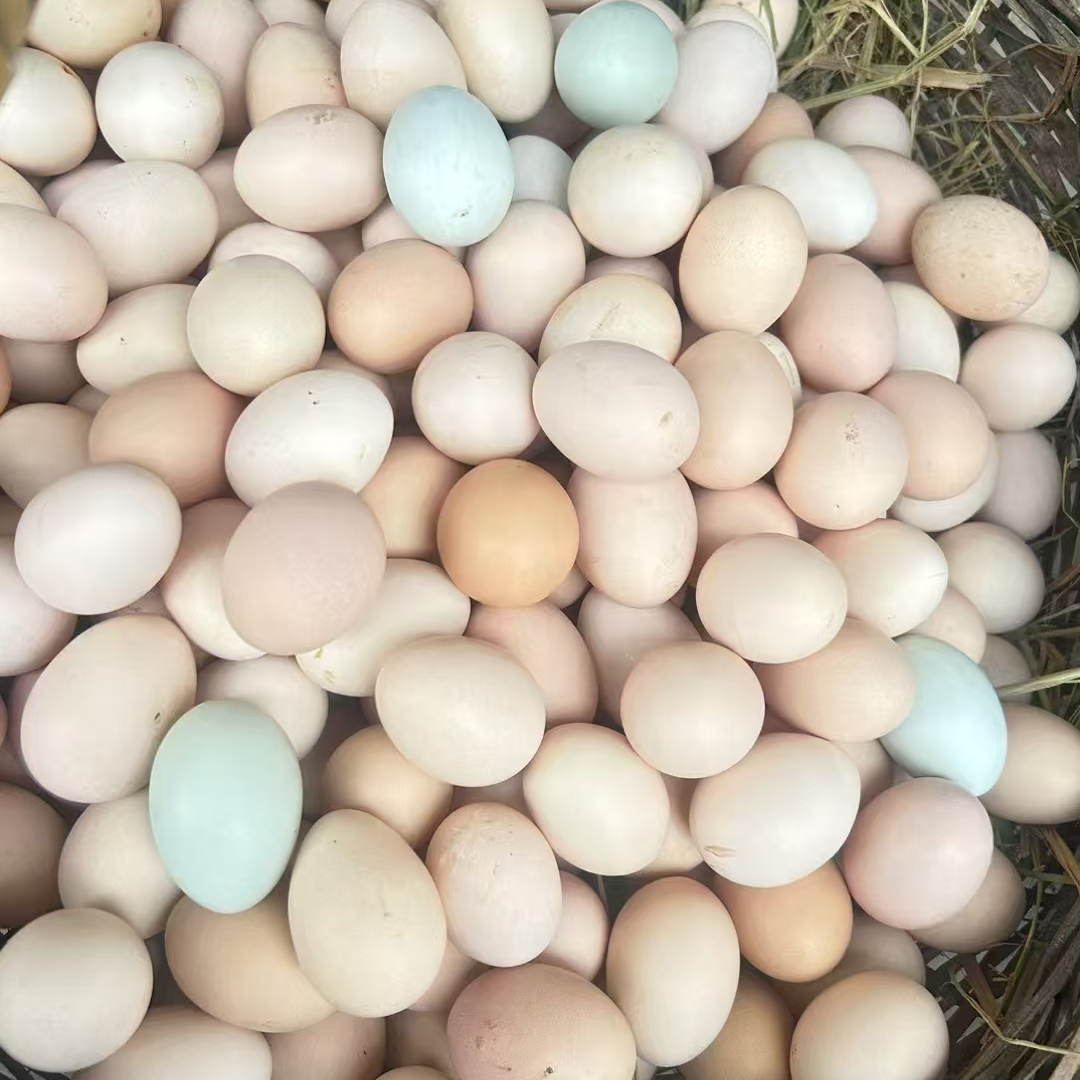 （45枚土鸡蛋+5枚乌鸡蛋）农家散养土鸡蛋50枚
