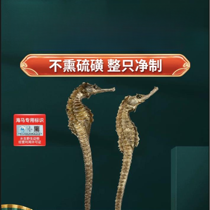 大号海马正宗配对煲汤干货秋冬滋补佳品泡酒料男士儿童膨腹三斑