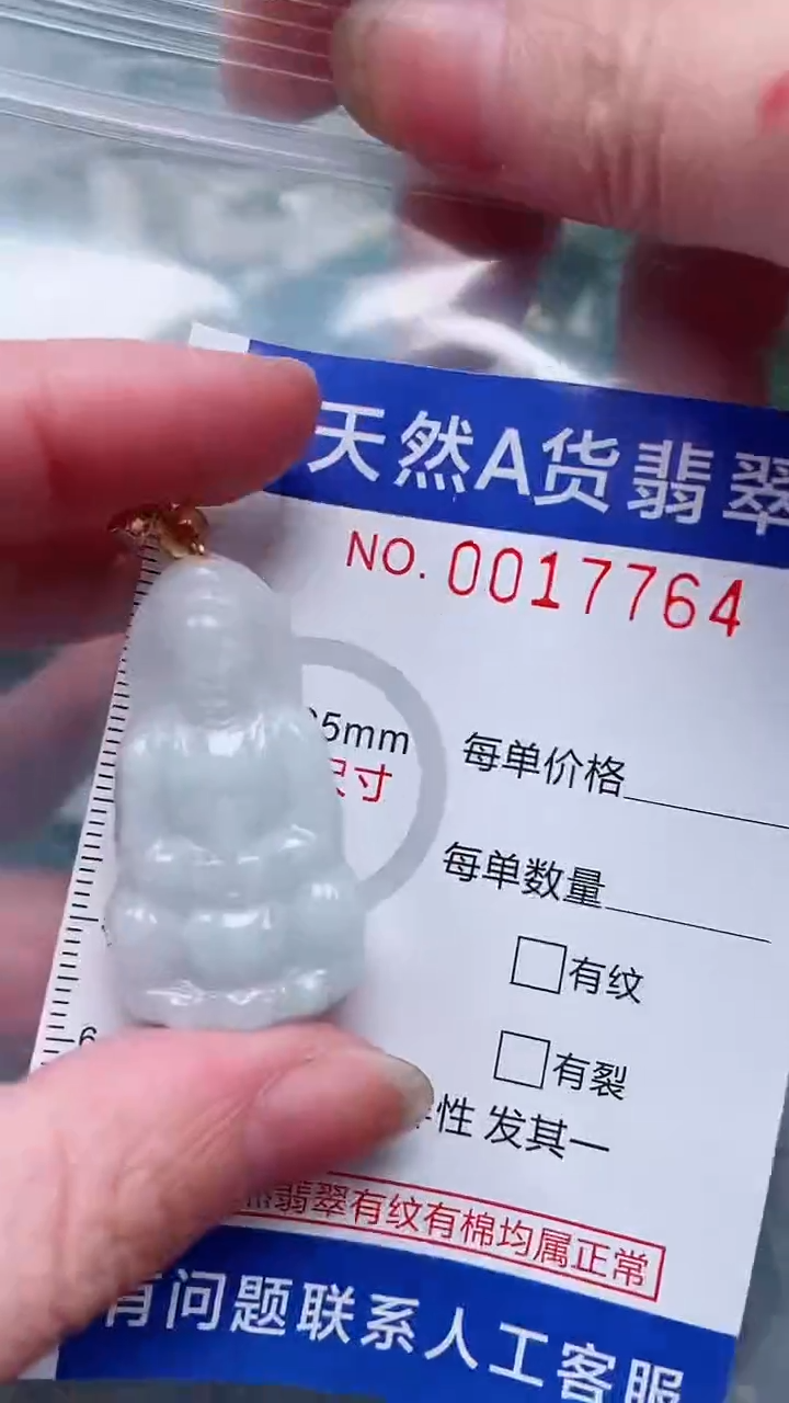 翡翠未镶嵌吊坠(赠链)1