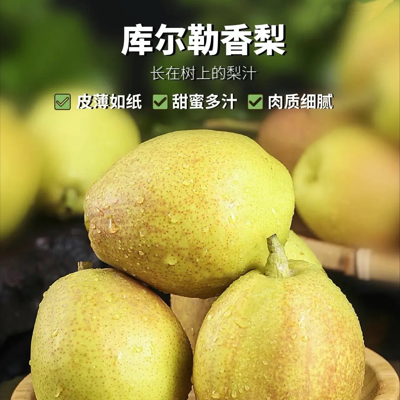 《次日达》新疆库尔勒香梨全母梨水果新疆维吾尔自治区