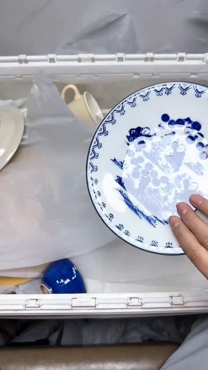 【闪购商品】494回流瓷器默认微瑕，18.8包邮