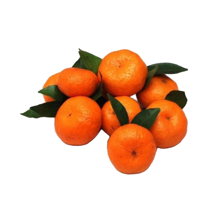 【盛世果仓年货节】砂糖橘一件（9.8-10斤左右）