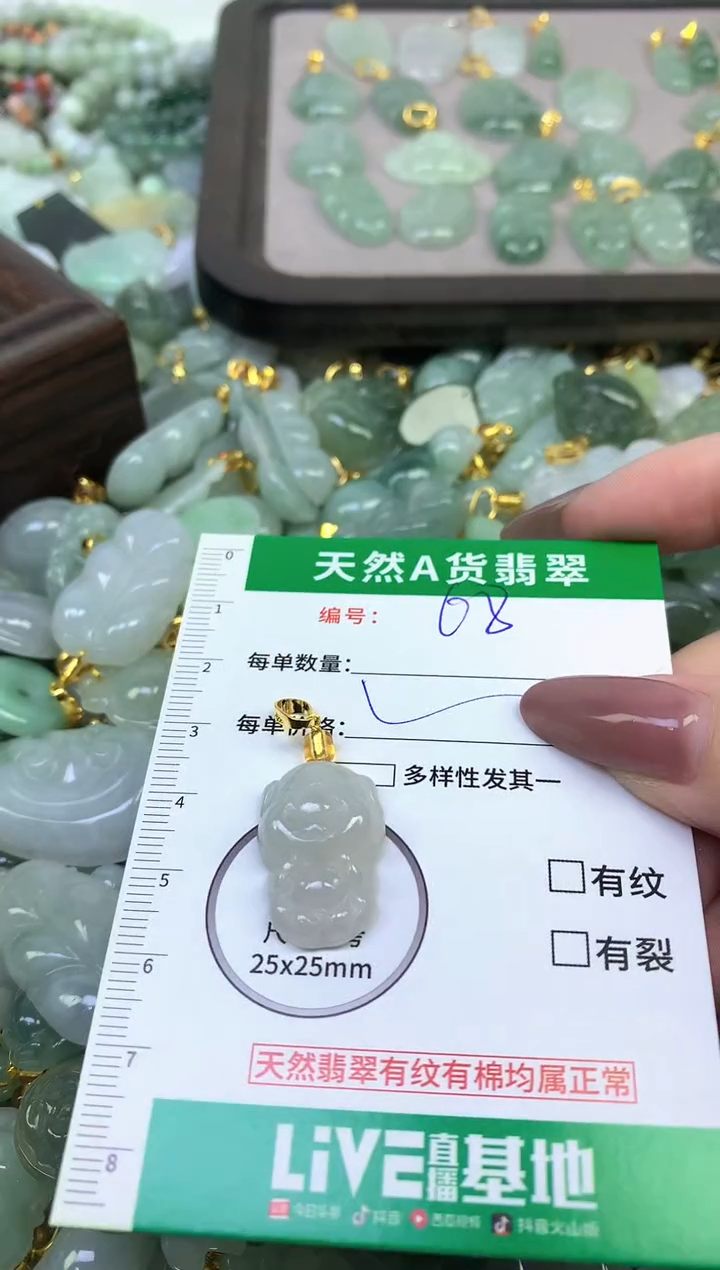 颈饰未镶嵌翡翠纯天然缅甸A货翡翠