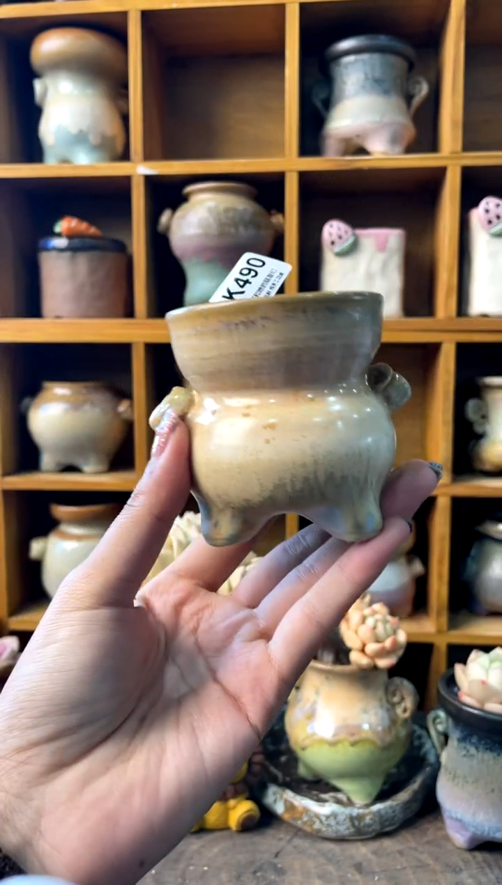 490内口6【多肉花盆多肉盆】