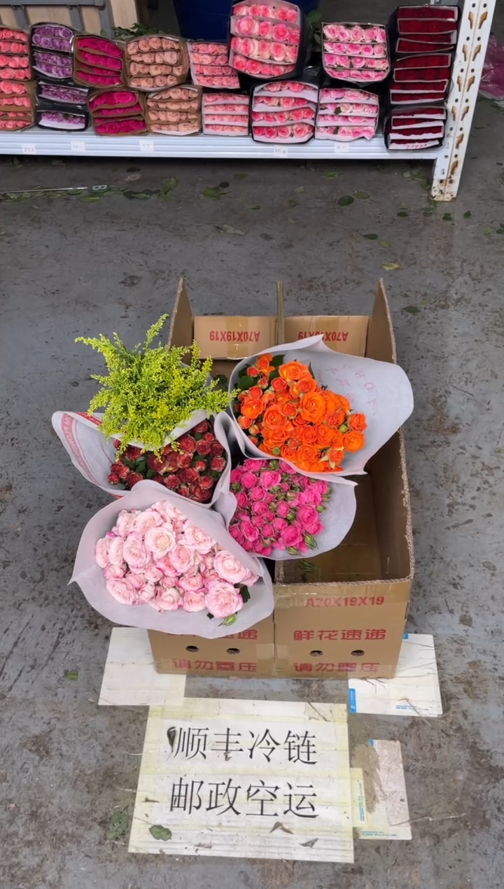 折射10枝+苏菲10枝+橙色芭比10枝+巧克力10枝+黄莺