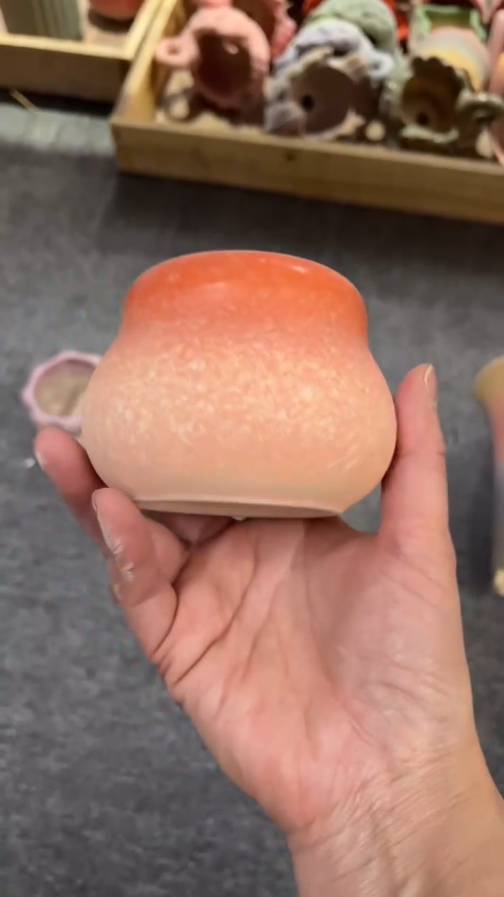 【闪购商品】红陶6*6