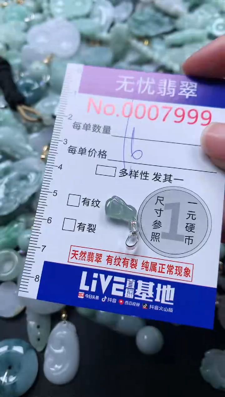 颈饰未镶嵌翡翠7999