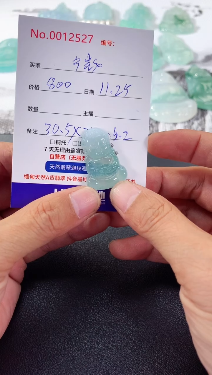 颈饰未镶嵌翡翠微****～微