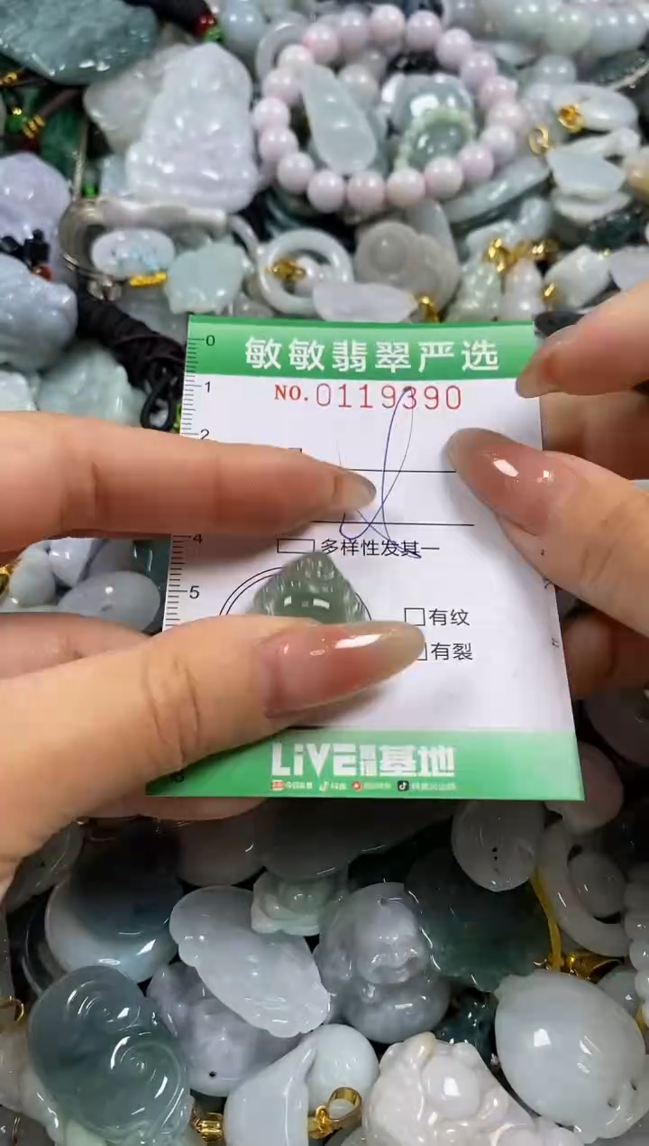 【闪购商品】翡翠颈饰未镶嵌闪购0119390