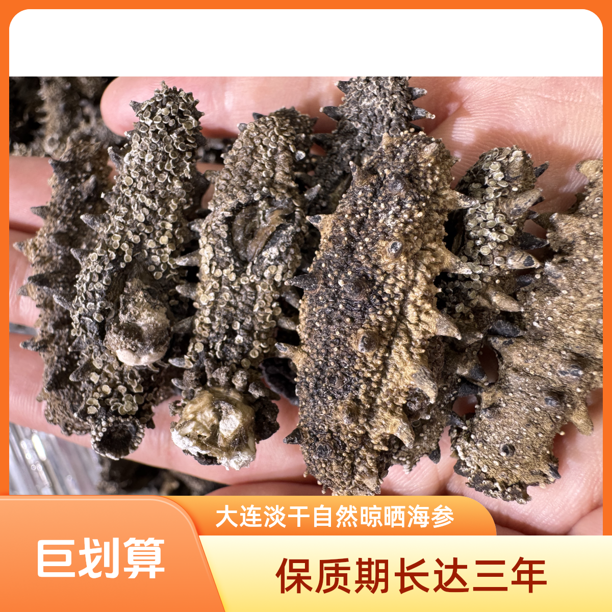 大连淡干自然晾晒海参