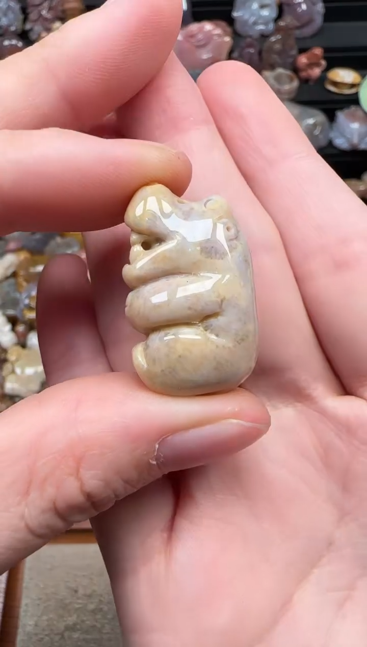 颈饰未镶嵌硅化珊瑚（珊瑚玉）045