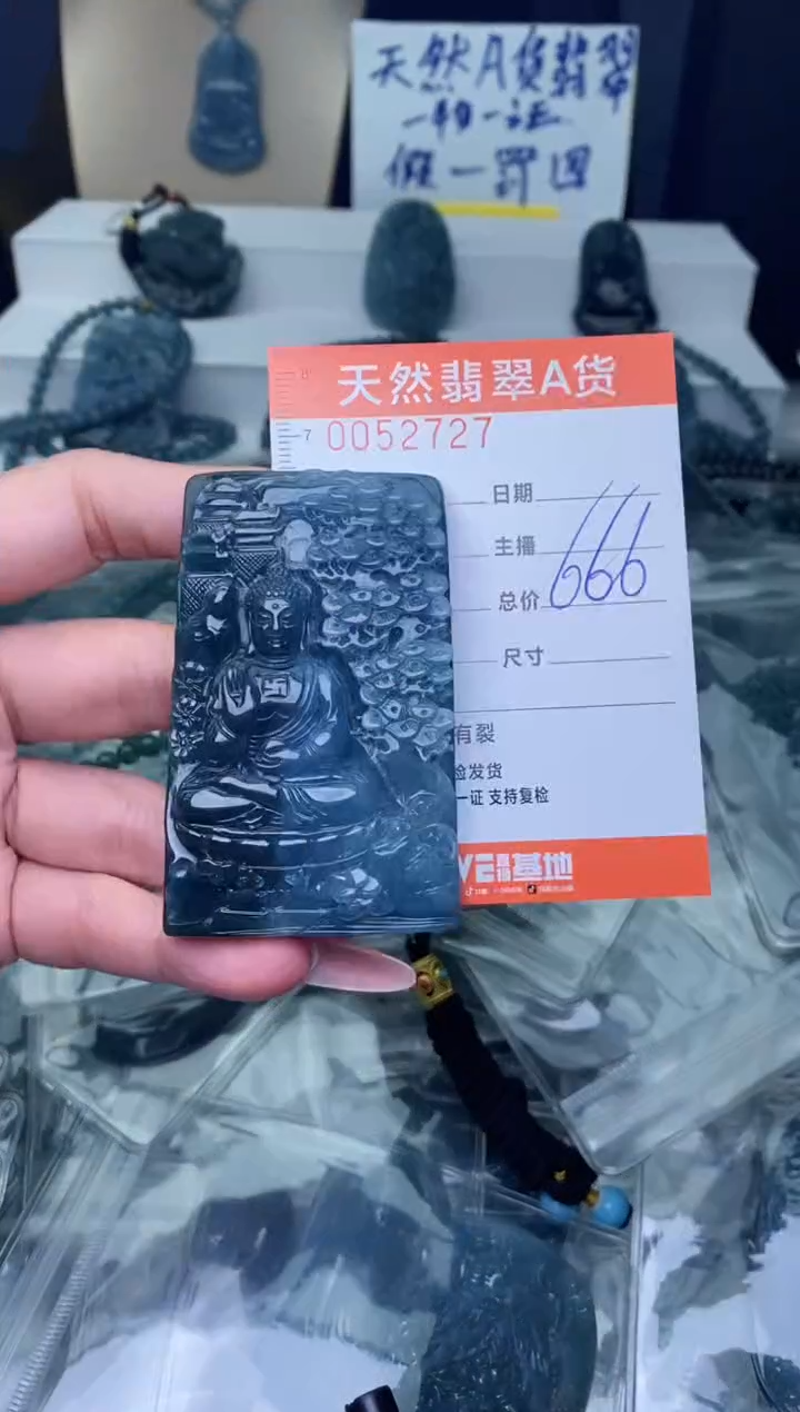 【闪购商品】翡翠颈饰未镶嵌········