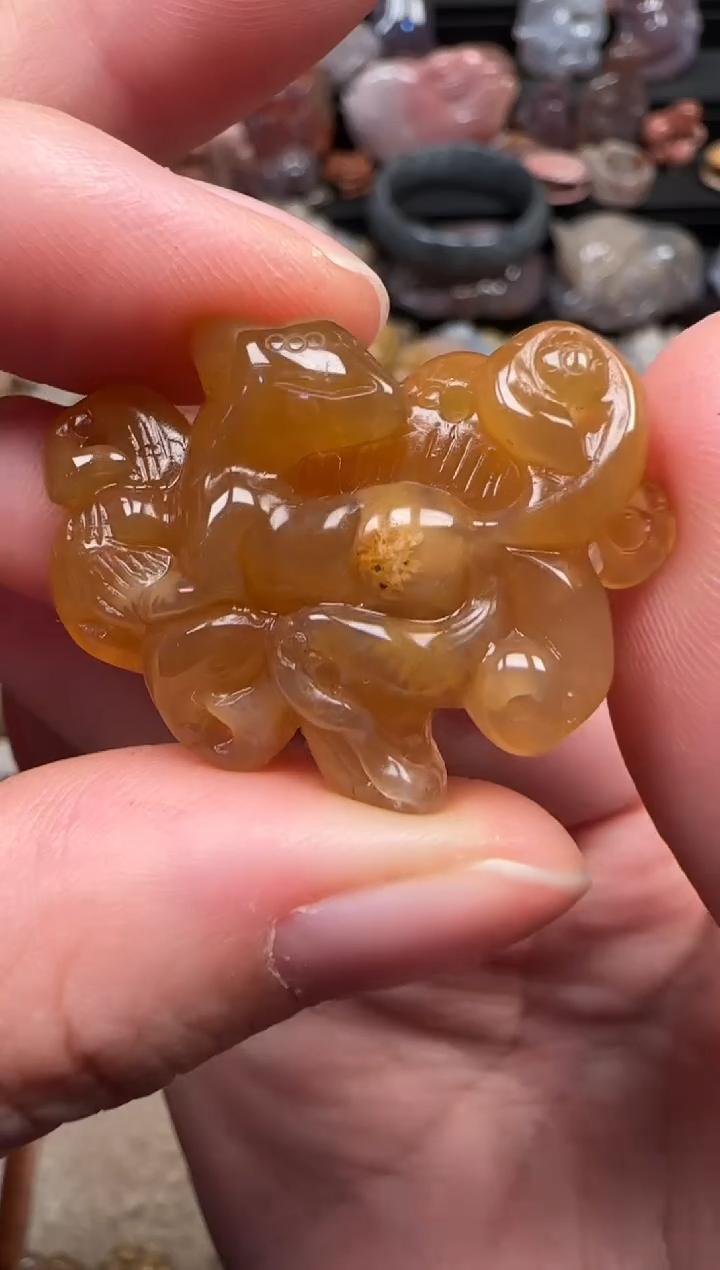 颈饰未镶嵌硅化珊瑚（珊瑚玉）174