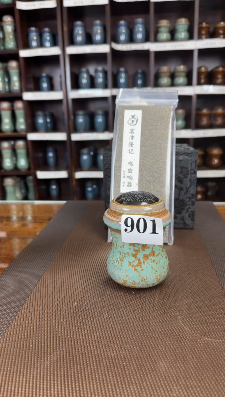 【闪购商品】松石绿   滑车   一只    901