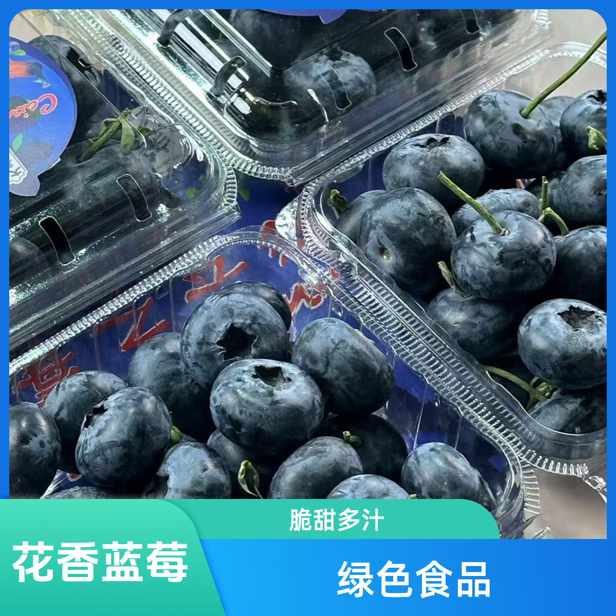 【大礼盒1.6斤】云南抚仙湖花香蓝莓800g鲜果礼盒多汁脆甜顺丰空运