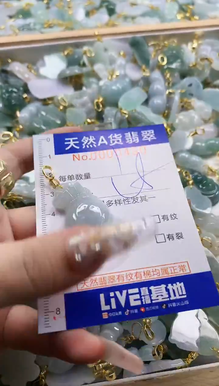 颈饰未镶嵌翡翠天然A货翡翠