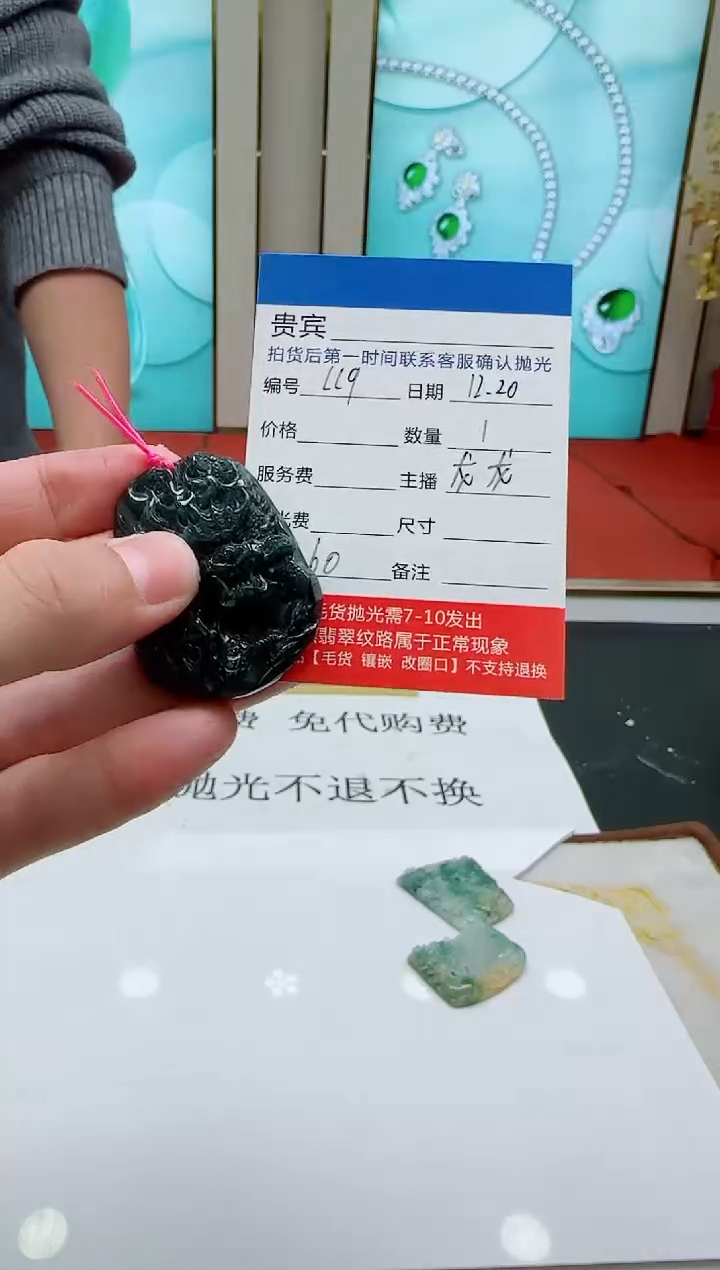 颈饰未镶嵌翡翠LL9翡翠吊坠-多样性发其一