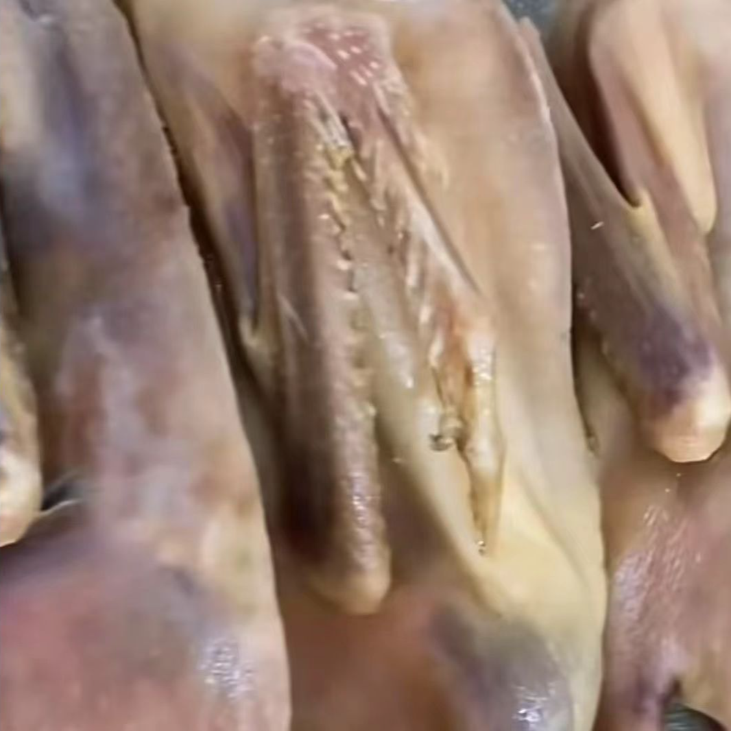 散养散放吃五谷杂粮的皖西大白鹅半只