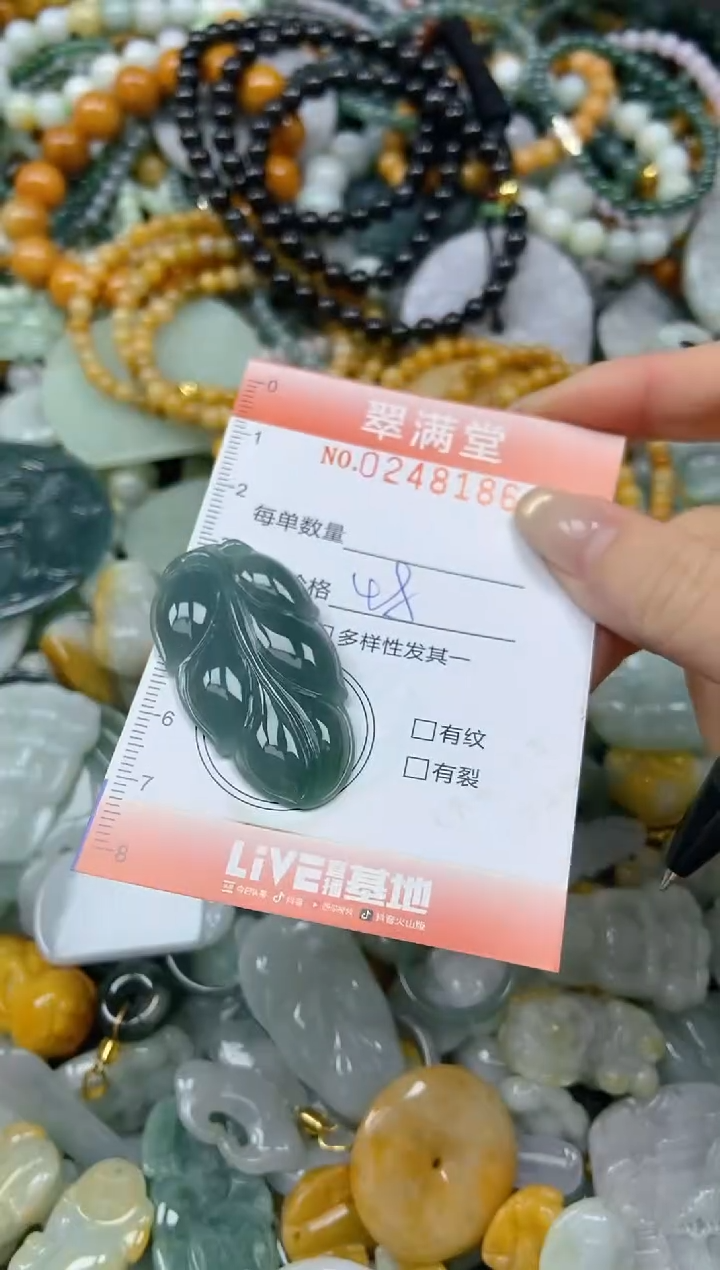 未镶嵌挂件翡翠闪购0248186