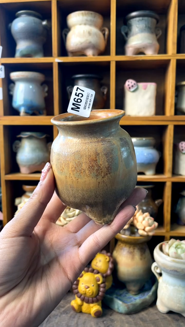 657内口5【多肉花盆多肉盆】