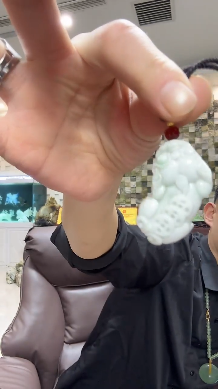 颈饰未镶嵌翡翠翡翠貔貅