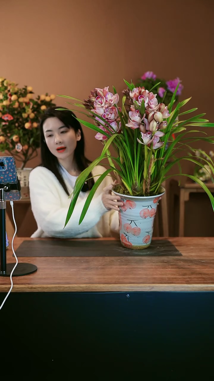 【闪购商品】盆景蝶恋花 福
