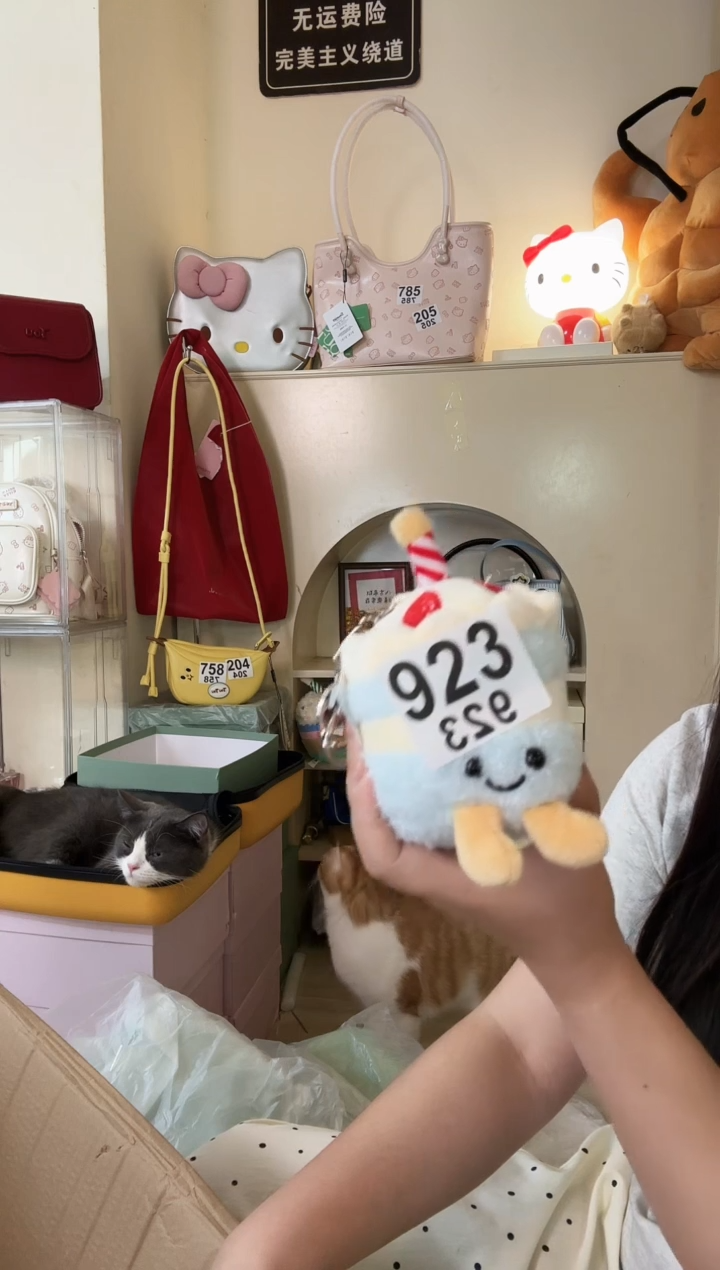 PU以直播链接为准 默认微瑕923挂件