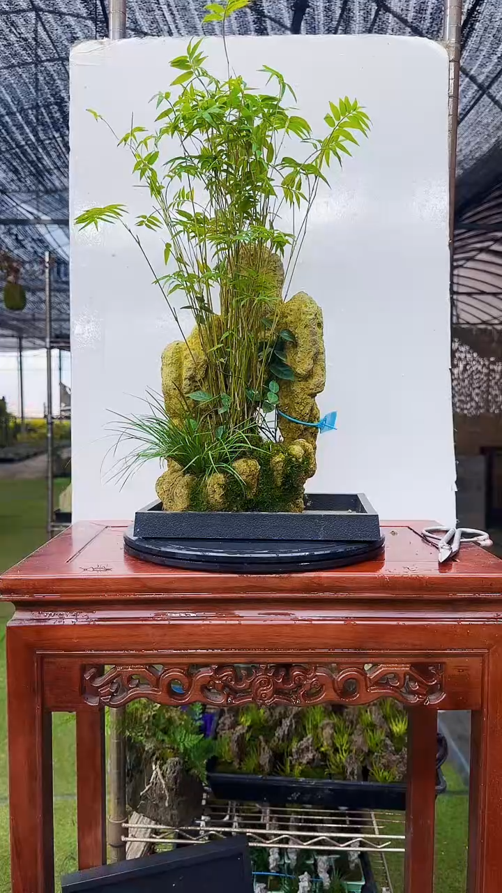 【闪购商品】701