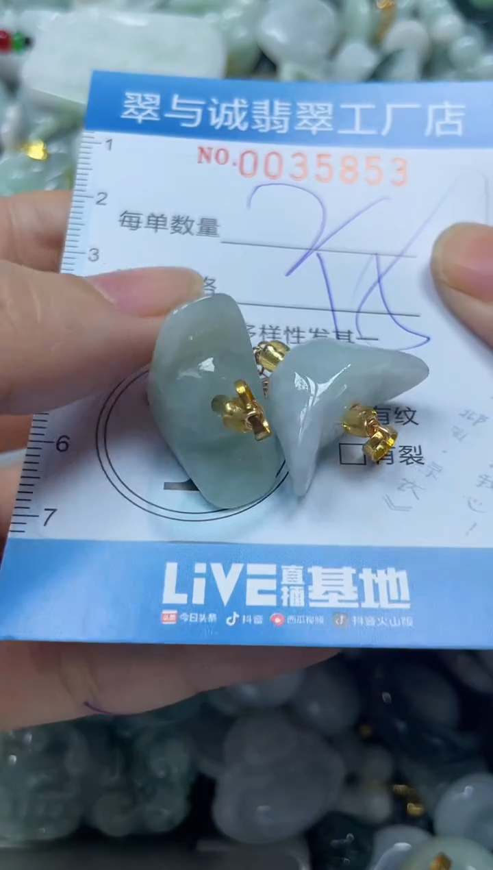 【闪购商品】翡翠颈饰未镶嵌闪购0035853