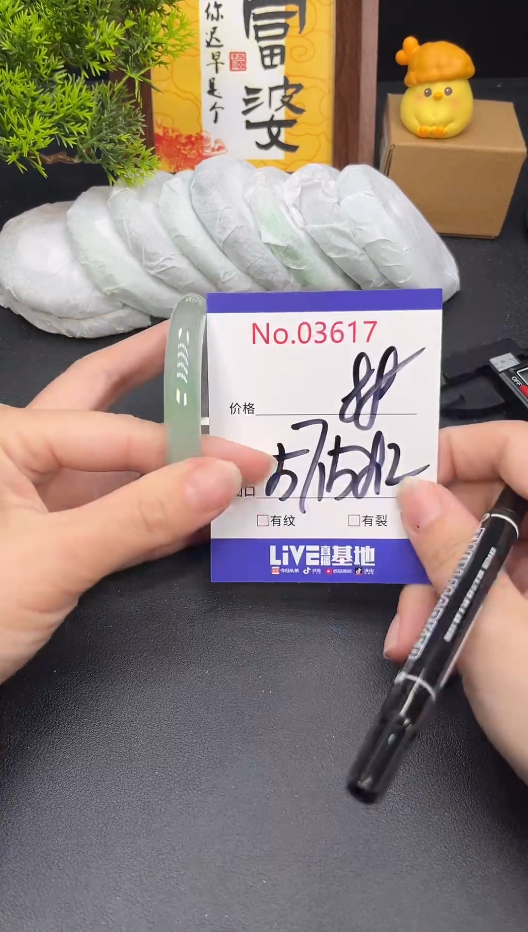 未镶嵌手镯翡翠3617