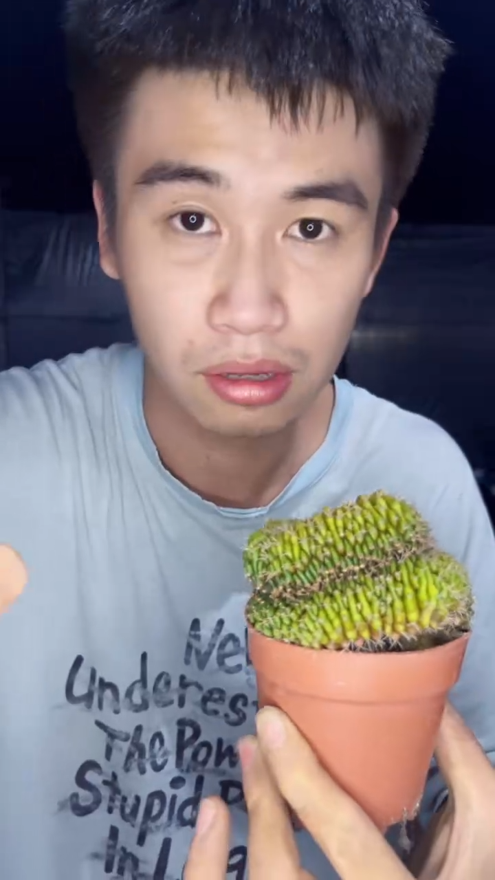 翠皇冠 缀化【造型不指定】