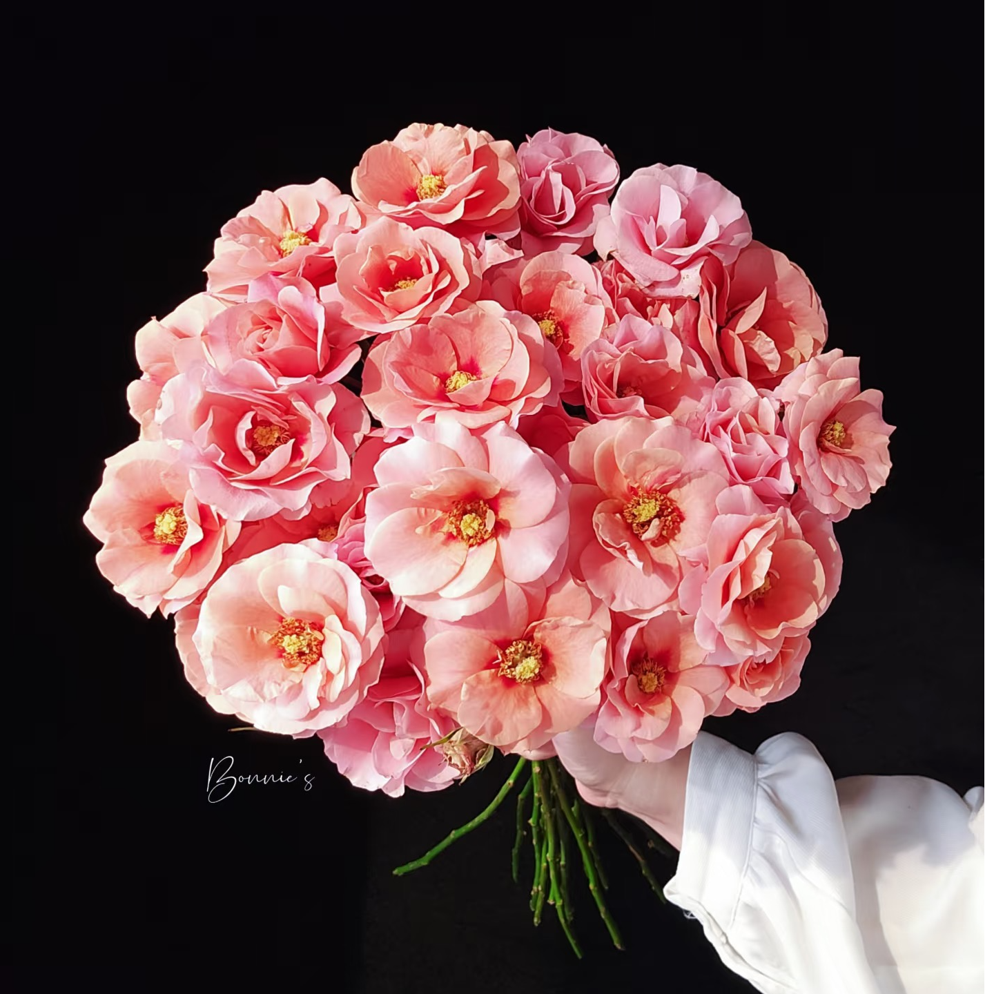 【金鱼姬】云南斗南基地现采现发品质好金鱼姬多头玫瑰10支