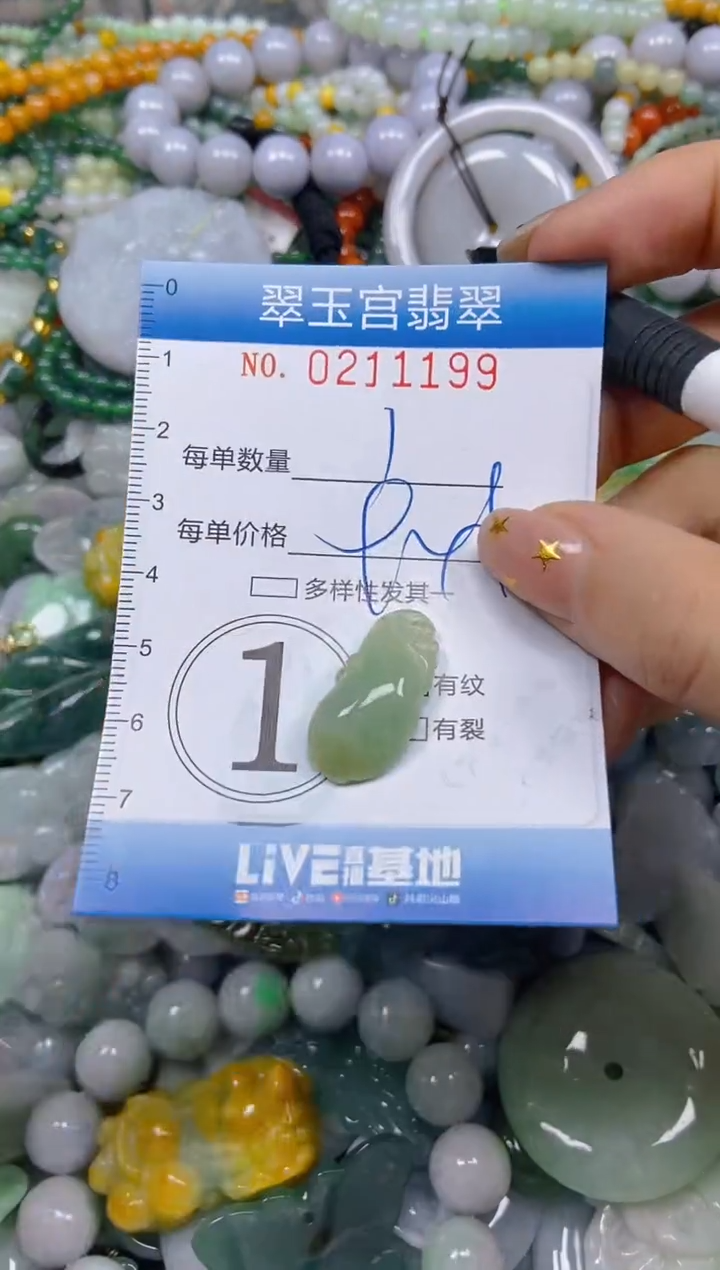 颈饰未镶嵌翡翠闪购C0211199