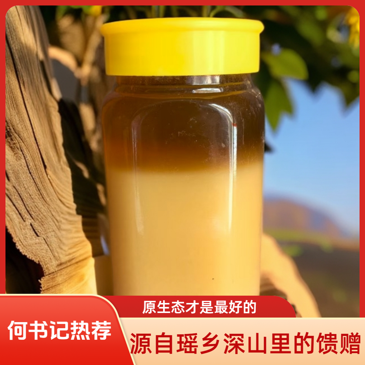 （何书记助农）长坪瑶乡深山天然蜂蜜（冬蜜）